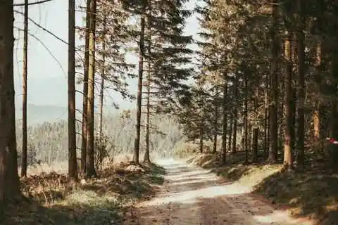 Schönebeck