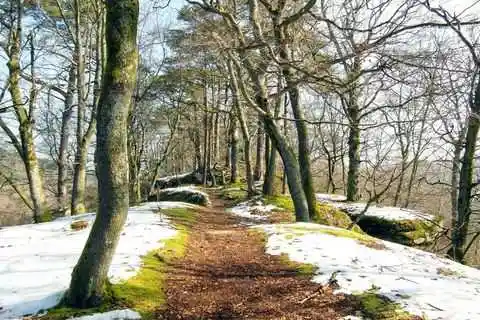 Vorderpfalz